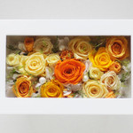 Thumbnail of post image 106