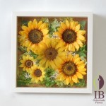 Thumbnail of post image 154