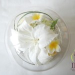 Thumbnail of post image 020