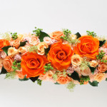 Thumbnail of post image 058