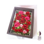 Thumbnail of post image 012