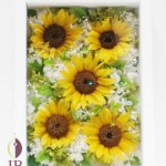 Thumbnail of post image 095