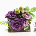 Thumbnail of post image 053