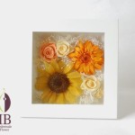 Thumbnail of post image 080