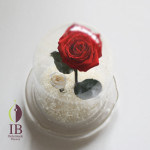 Thumbnail of post image 137