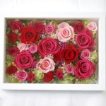 Thumbnail of post image 034