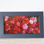 Thumbnail of post image 122