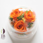 Thumbnail of post image 056