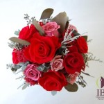 Thumbnail of post image 123