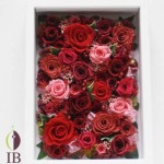 Thumbnail of post image 008