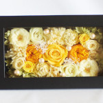 Thumbnail of post image 026