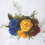 Thumbnail of post image 067