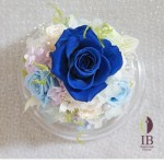 Thumbnail of post image 020