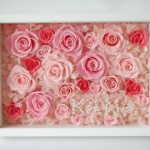 Thumbnail of post image 096