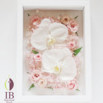 Thumbnail of post image 187