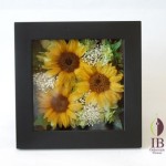 Thumbnail of post image 146