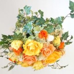 Thumbnail of post image 187