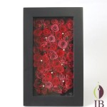 Thumbnail of post image 192