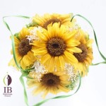 Thumbnail of post image 066