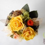 Thumbnail of post image 157