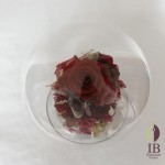 Thumbnail of post image 186