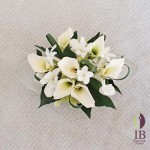 Thumbnail of post image 189