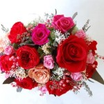 Thumbnail of post image 119