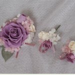 Thumbnail of post image 197