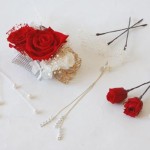 Thumbnail of post image 031