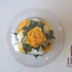 Thumbnail of post image 070