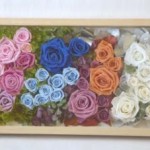 Thumbnail of post image 001