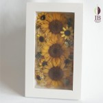 Thumbnail of post image 191