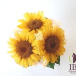 Thumbnail of post image 163