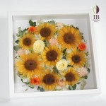 Thumbnail of post image 015