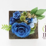 Thumbnail of post image 081