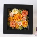 Thumbnail of post image 159