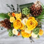 Thumbnail of post image 091