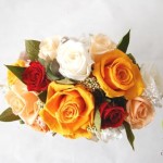 Thumbnail of post image 051