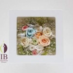 Thumbnail of post image 141