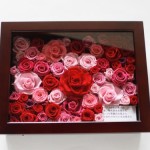 Thumbnail of post image 178