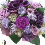 Thumbnail of post image 085