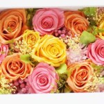 Thumbnail of post image 045