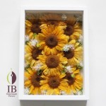 Thumbnail of post image 165