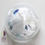 Thumbnail of post image 072