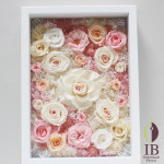 Thumbnail of post image 024