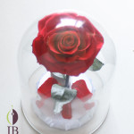 Thumbnail of post image 090