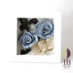 Thumbnail of post image 149