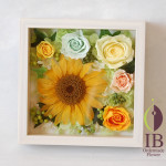 Thumbnail of post image 069