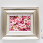 Thumbnail of post image 048