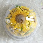 Thumbnail of post image 199